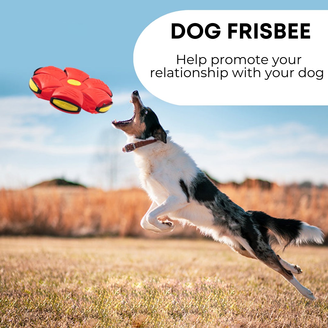 Fluffro Dog Frisbee